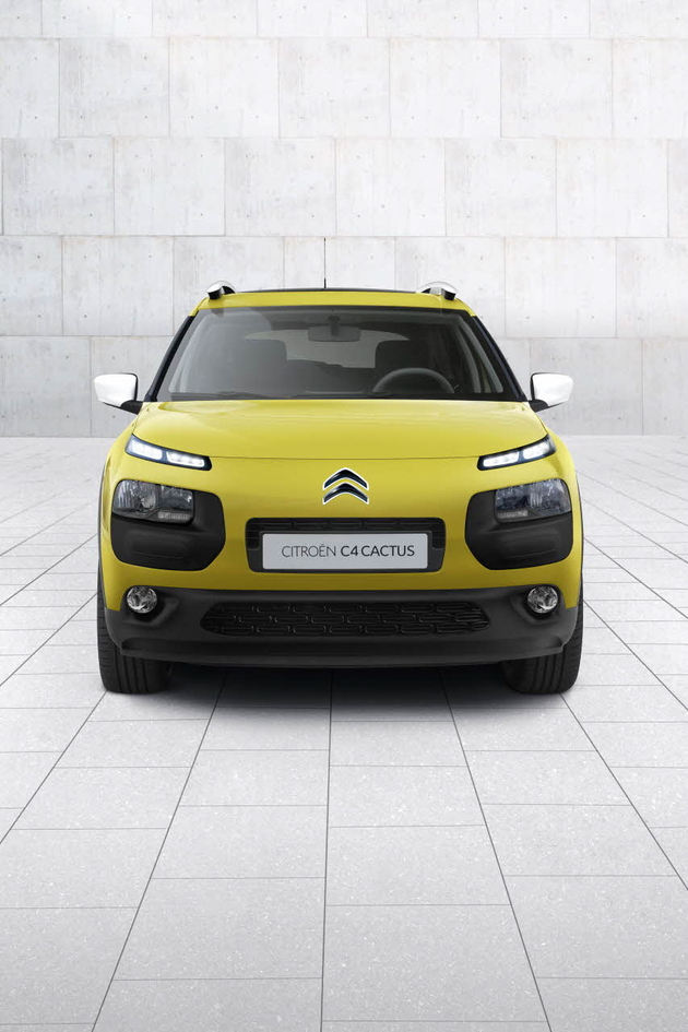 Citroen C4 CACTUS(3)