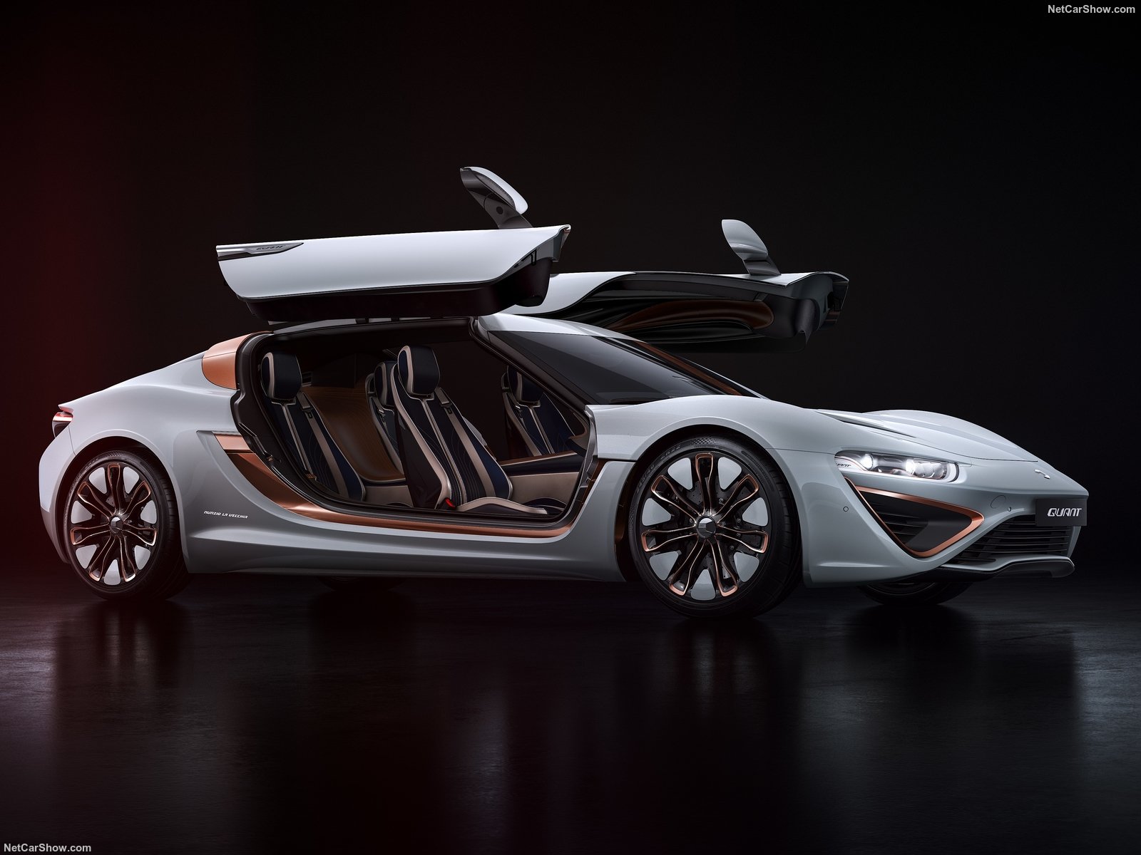 NanoFlowcell-Quant_48Volt_Concept-2017-1600-02.jpg.3af3b32cfb6158def70e767eb32c2c3b.jpg