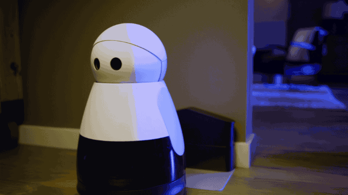 kuri-gif.gif
