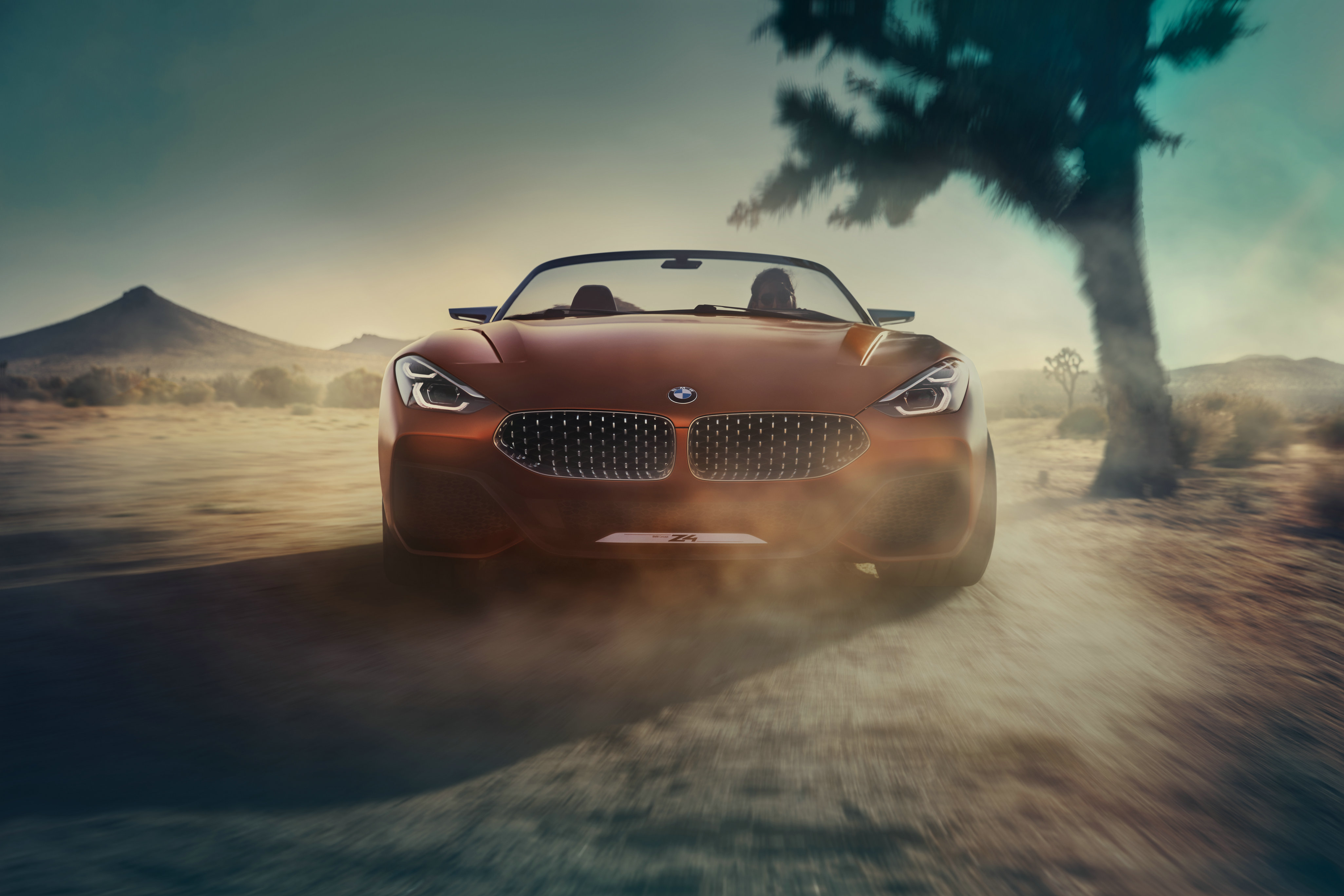 05. BMW Z4概念车-正面.jpg