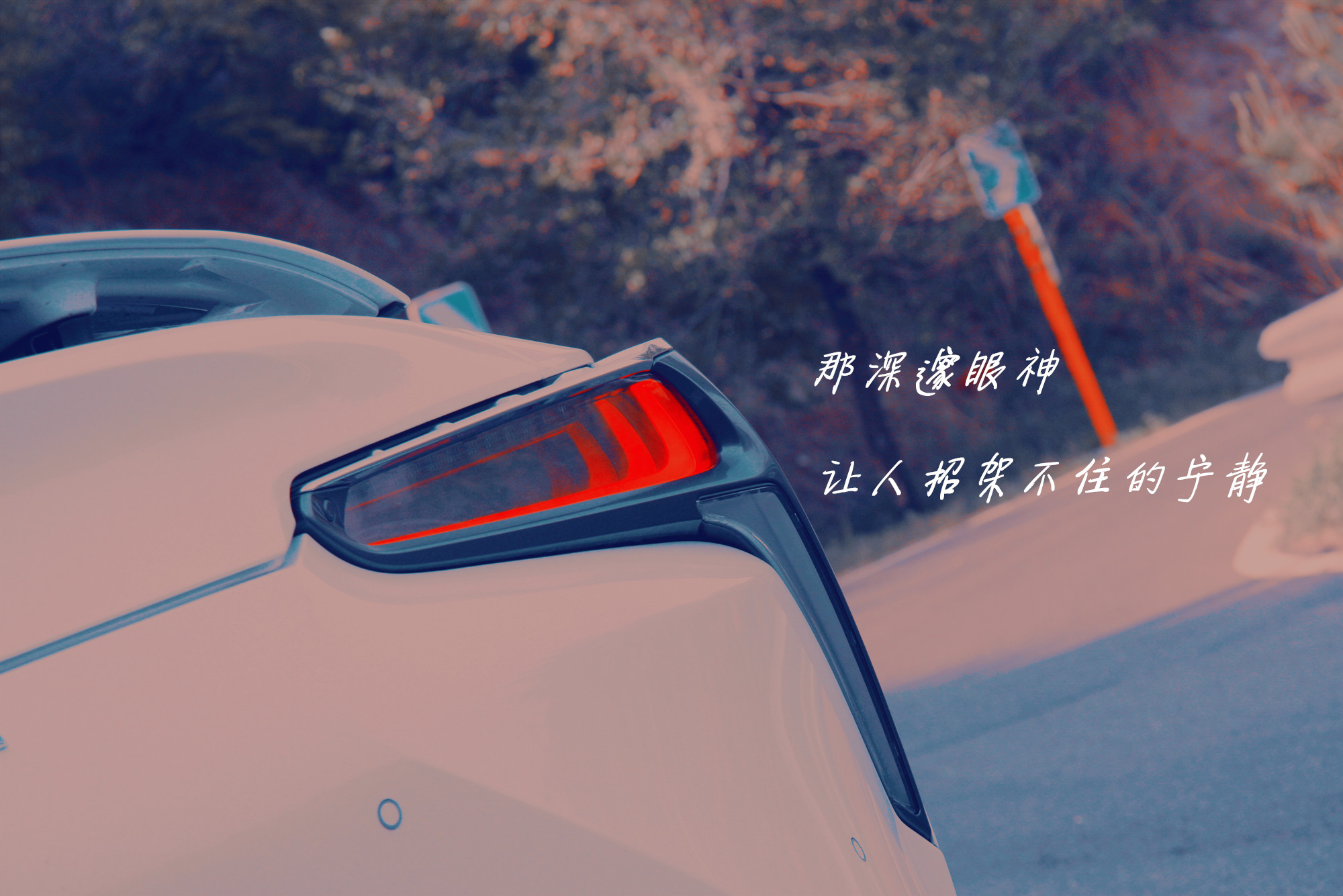 IMG_1051_副本.jpg