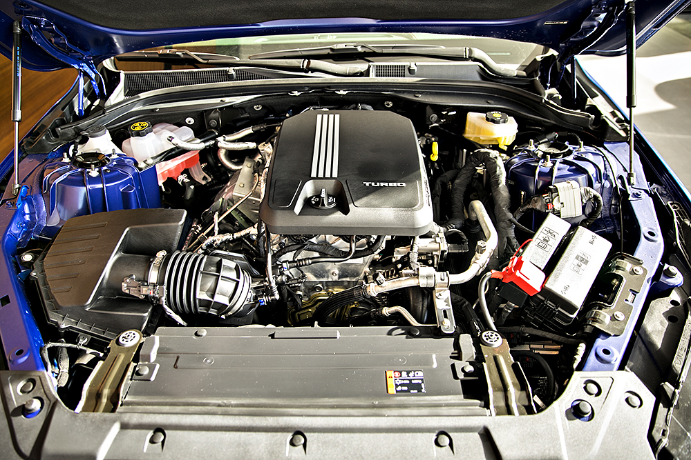 YCC_0459.jpg