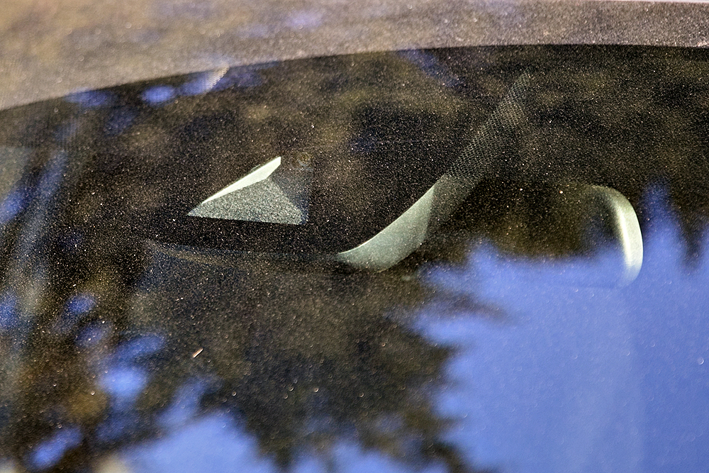YCC_2036.jpg