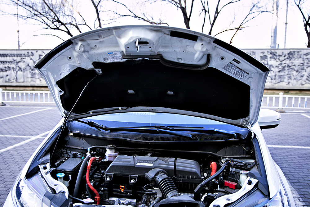 YCC_2617.jpg