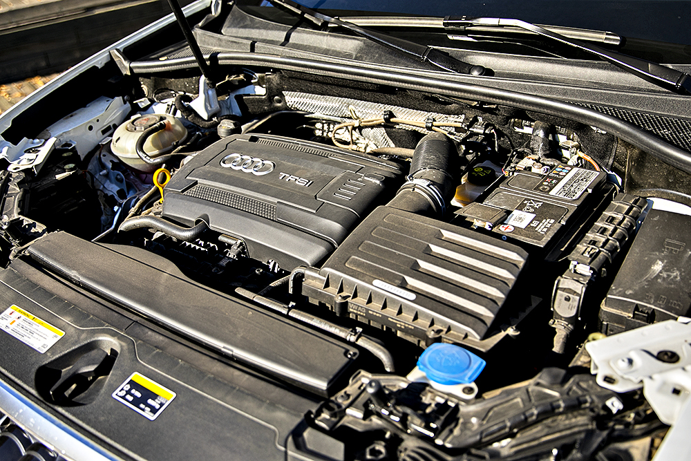 YCC_4985.jpg