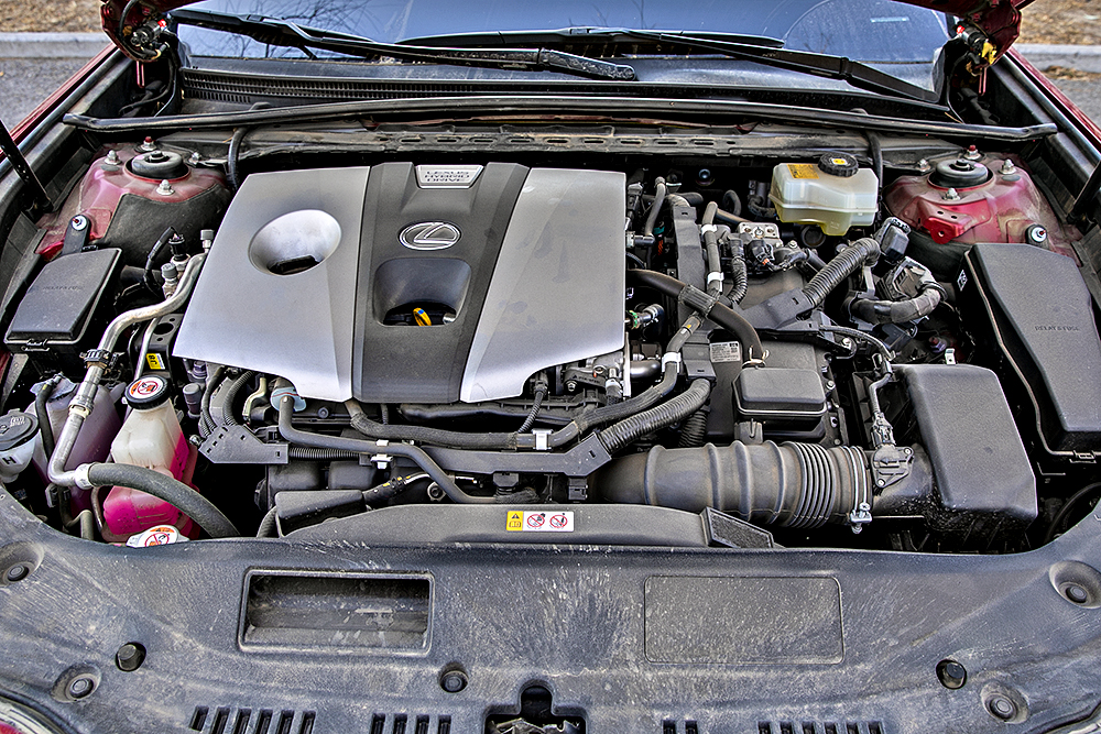 YCC_8461.jpg