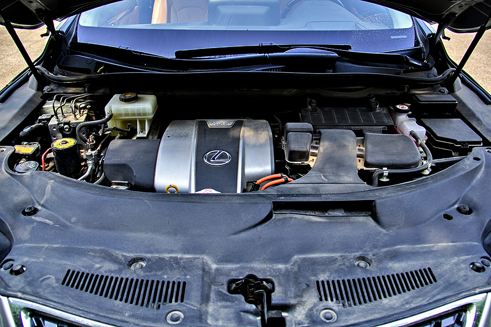 IMG_9848.jpg