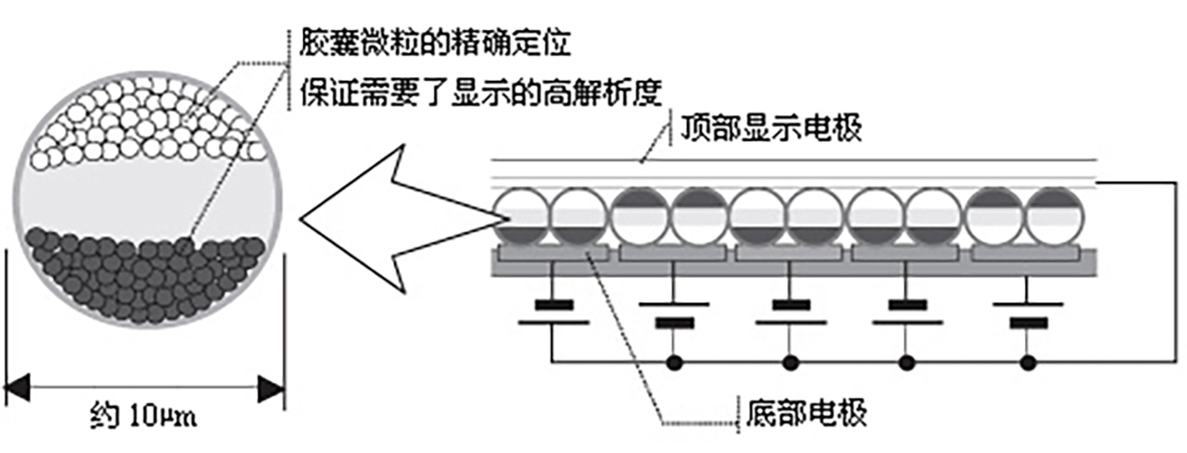 faedab64034f78f084122c8079310a55b3191ca3.jpeg