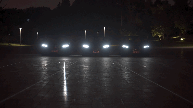 IMG_7548.GIF