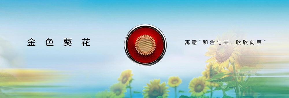 图片11.jpg