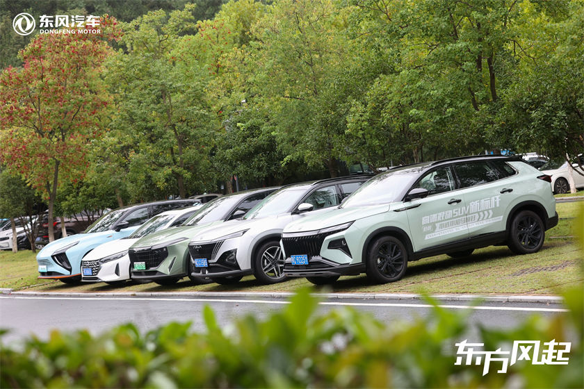 14、东风全系新能源产品在四方山区域开展试乘试驾体验活动.jpg